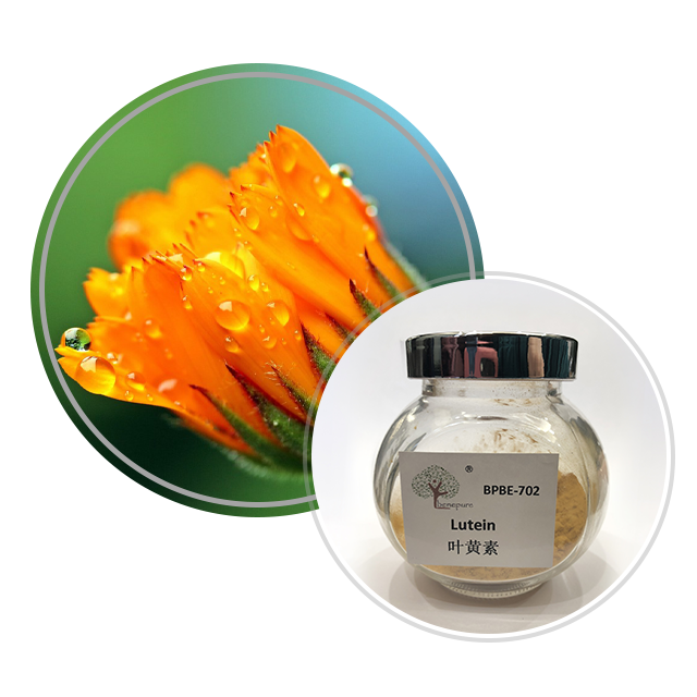 Xanthophyll(Lutein)  