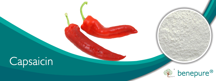 Capsaicin  