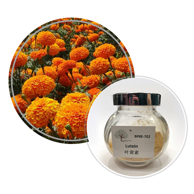 Xanthophyll(Lutein)  