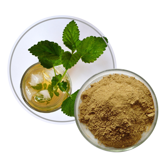 Lemon Balm Extract  