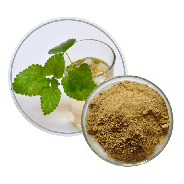 Lemon Balm Extract  