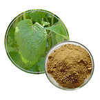 Lemon Balm Extract