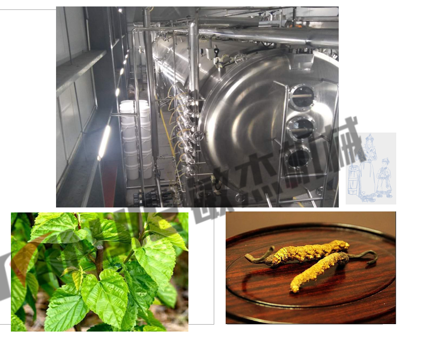 Herbal extract and fruit puree drying machine vacuum dryer  