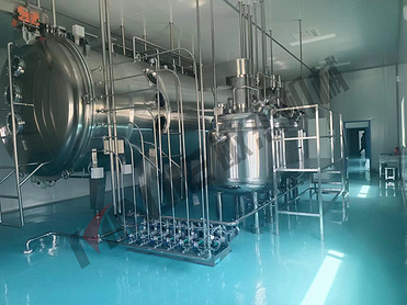 Fertilizer granule powder vacuum dryer machine