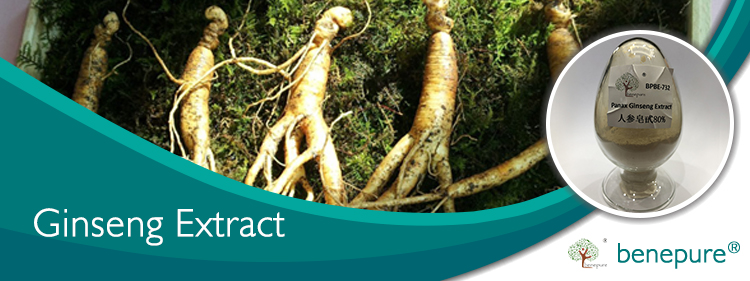 Panax Ginseng Extract  