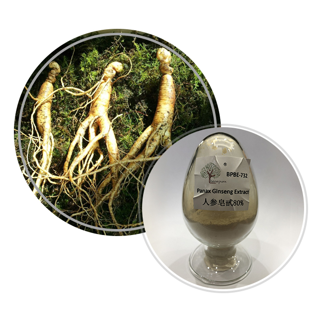 Panax Ginseng Extract  