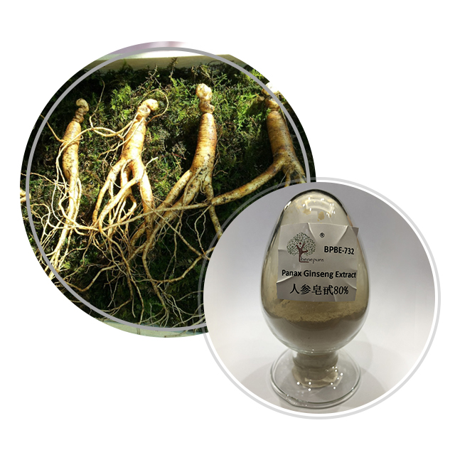 Panax Ginseng Extract  