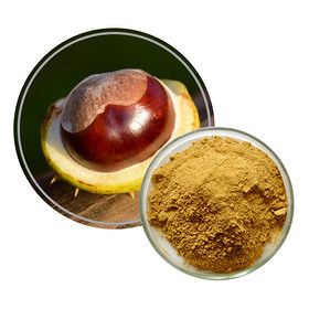 Horse Chestnut Extract