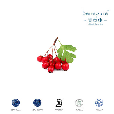 Hawthorn Extract