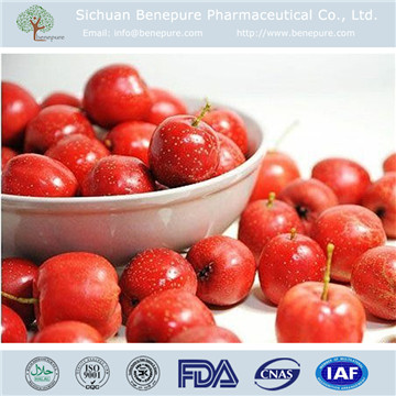 Hawthorn Extract  