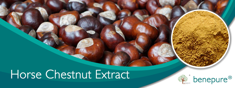 Horse Chestnut Extract  