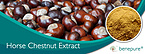 Horse Chestnut Extract