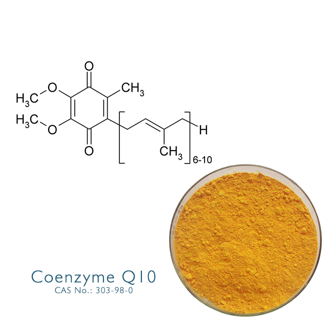 Coenzyme Q10  