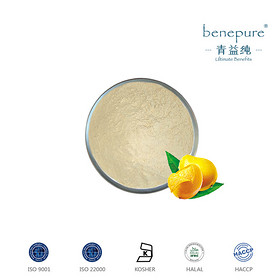 MANGO FREEZE-DRIED POWDER