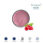 RASPBERRY FREEZE-DRIED POWDER