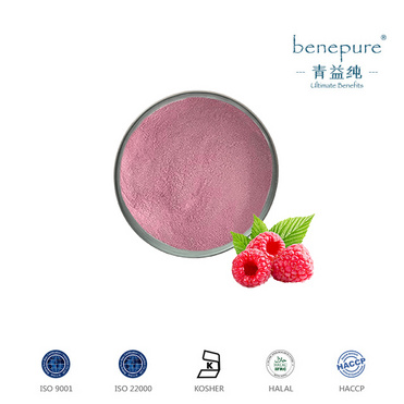 RASPBERRY FREEZE-DRIED POWDER