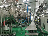 Organic protein extract liquid vacuum belt dryer