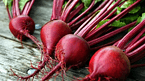 Beet Powder