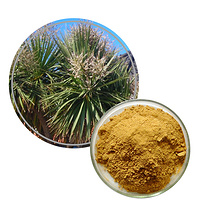 Yucca Extract