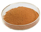 99% up  natural mashroom extract Lentinan powder 37339-90-5