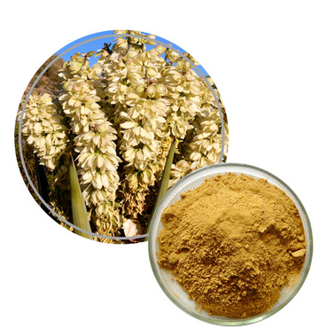 Yucca Extract