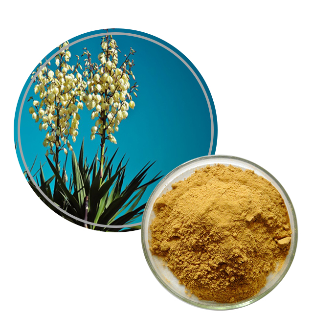 Yucca Extract  