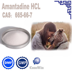 Amantadine HCL