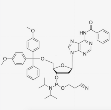 N6-Benzoyl-DMT-2'-Deoxyadenosine-3'-CE Phosphoramidite