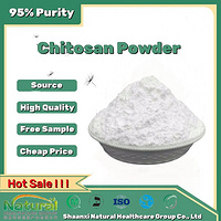 Chitosan Powder 90%