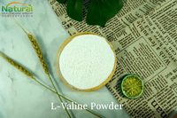L-Valine Powder
