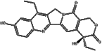 7-ethyl-10-hydroxycamptothecin