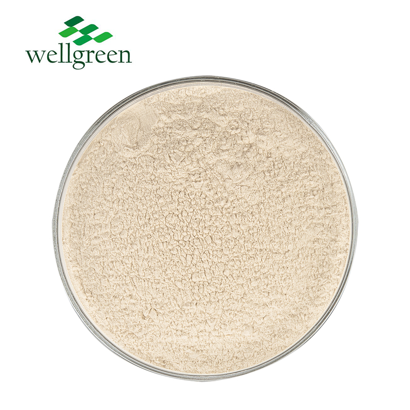 White Kidney Bean Extract Phaseolin  