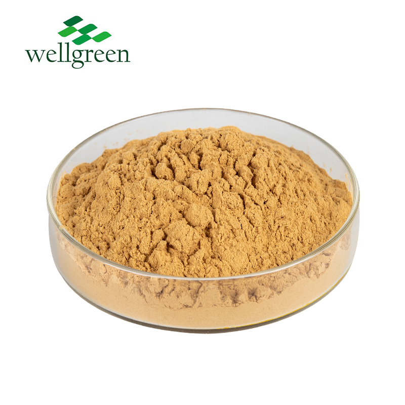 Yucca Schidigera Root Extract Powder Sarsaponin 10%~60%  