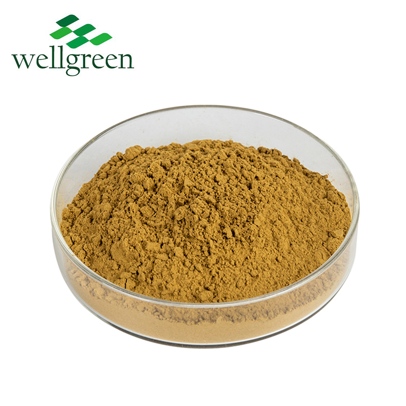 Echinacea Extract Chicoric acid Echinacoside  