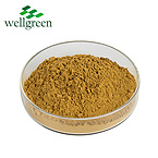 Echinacea Extract Chicoric acid Echinacoside