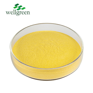 Pharmaceutical Grade 99% Pure CAS No 302-79-4 Retinoic Acid Powder/Vitamin a Acid Tretinoin