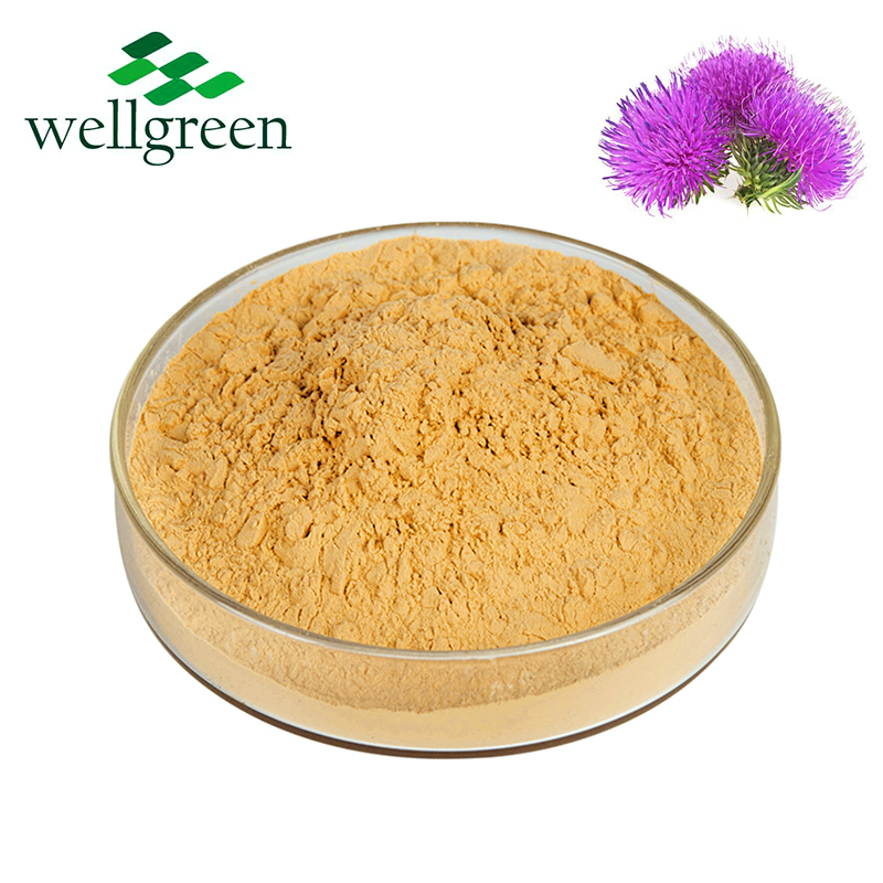Milk Thistle Extract Silymarin  Silybin  