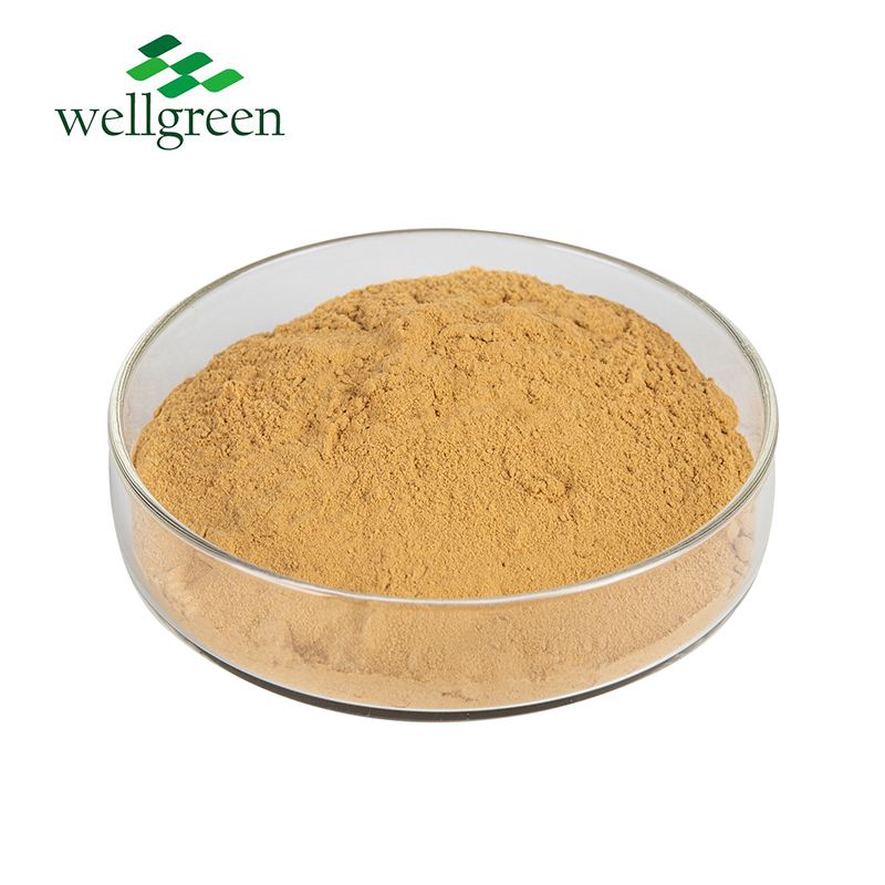 Kava Extract  