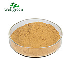 Kava Extract Powder Kavalactone Wholesale Root Pure Natural Best Organic Kavalactones