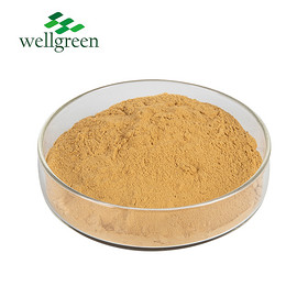 Kava Extract Kavalactones