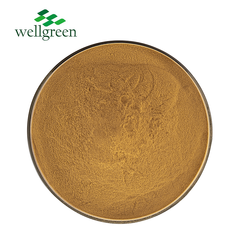 Ivy Stem Extract Hederagenin Hederacosides  