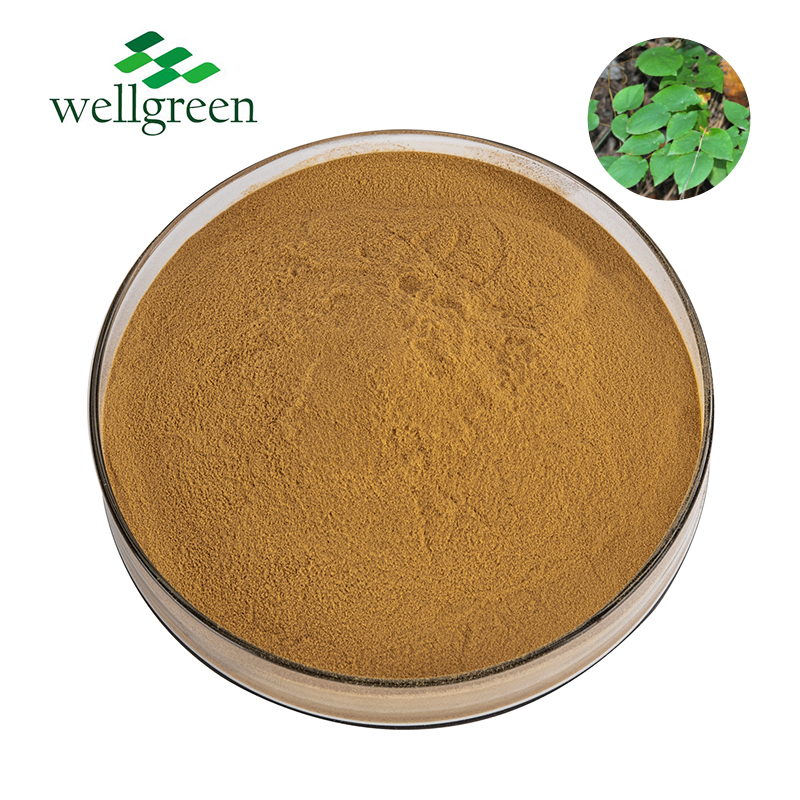 Epimedium Extract Icariin Icariins  