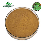 Epimedium Extract Icariin Icariins