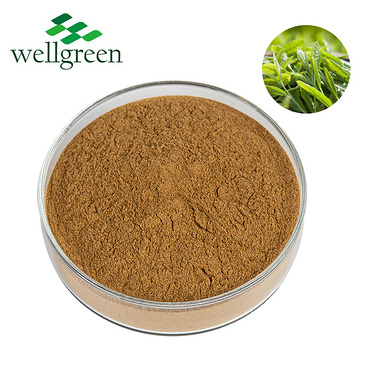 Green Tea Extract Tea Polyphenols Catechins EGCG