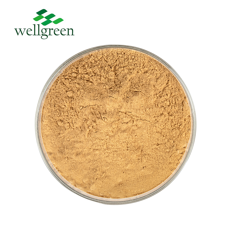 Kava Extract Kavalactones  