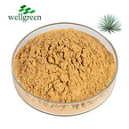 Yucca extract