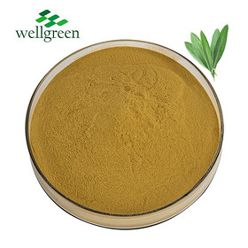 Olive Leaf Extract Oleuropein & Hydroxytyrosol