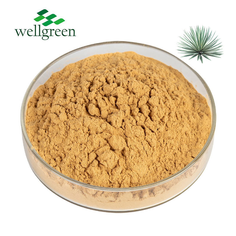 Yucca Schidigera Root Extract Powder Sarsaponin 10%~60%