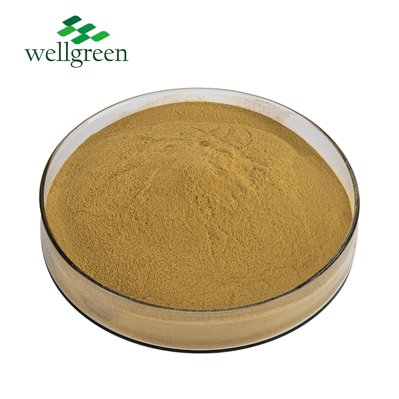 Black Cohosh Extract Triterpenoid saponins  