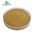 Black Cohosh Extract Triterpenoid saponins